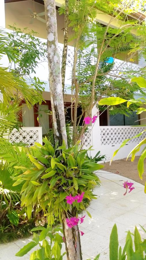 Idle Awhile Beach Hotel Negril Exterior photo